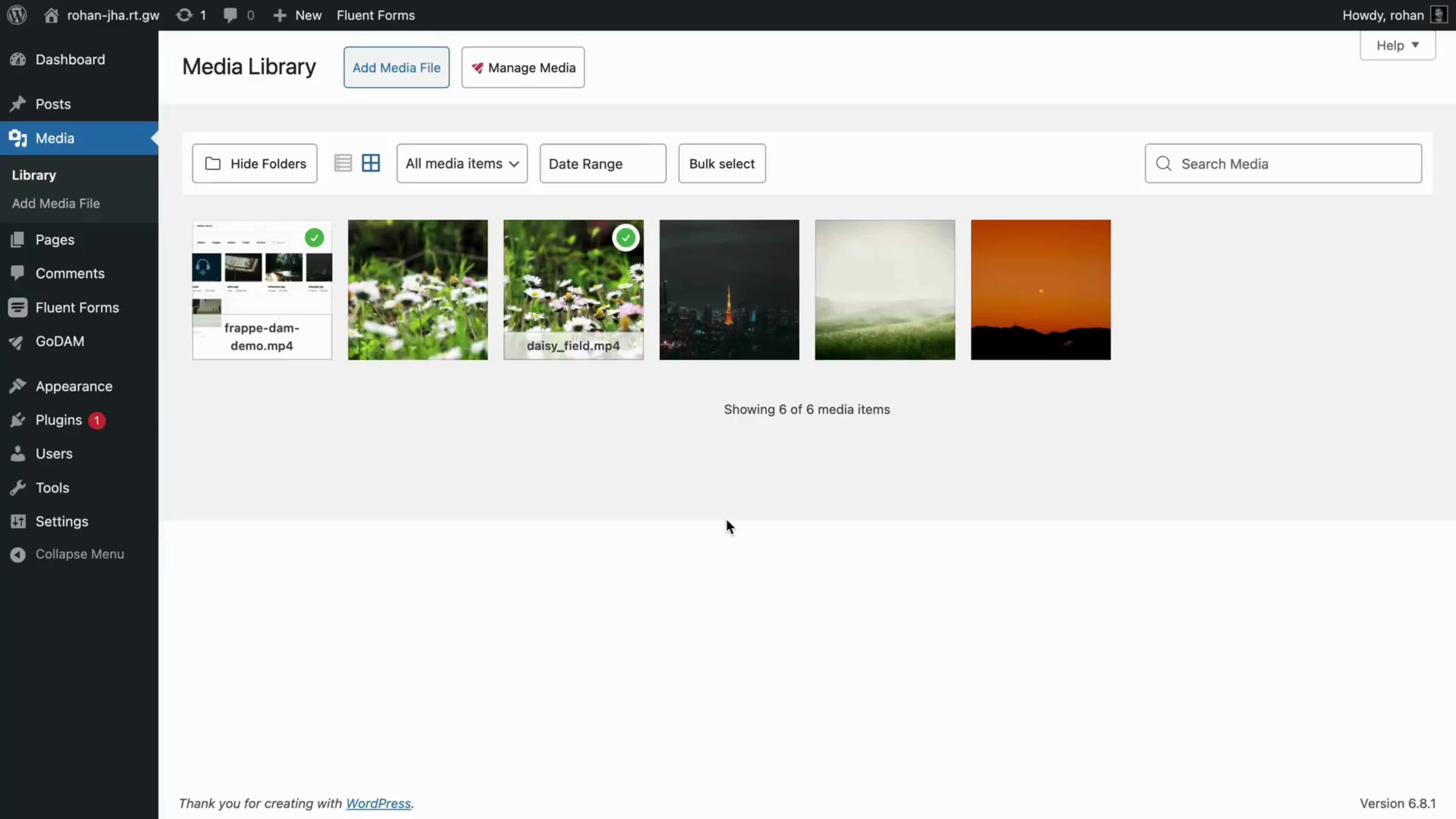 fluent-forms-main-video