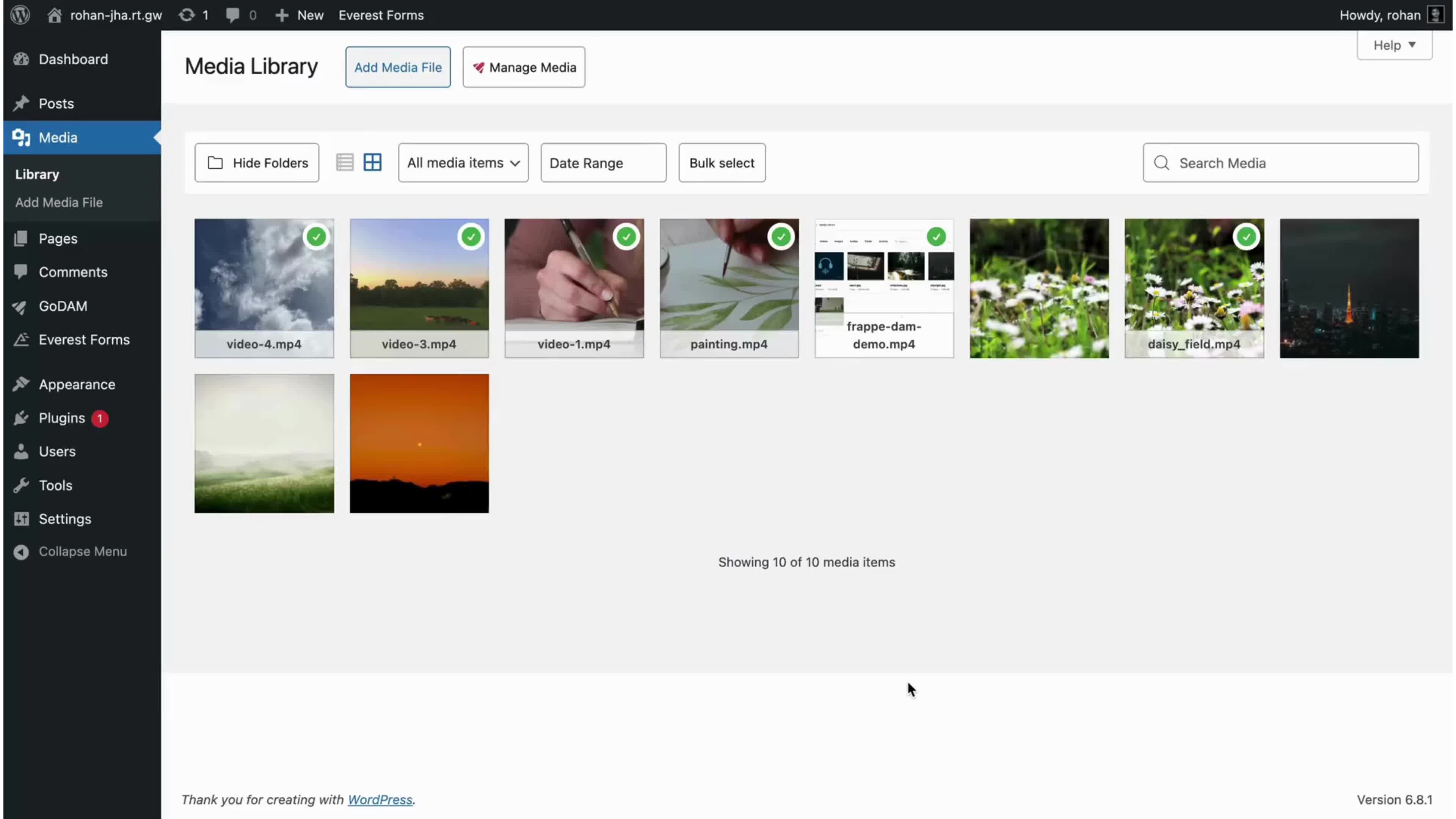 everest-form-main-video
