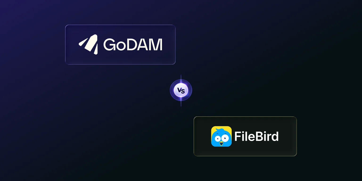 GoDAM vs FileBird